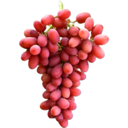 Sweet Grape Bonsai Seeds 10 Pcs image