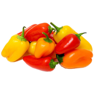 Sweet Pepper Seed image