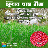 Sweet Sudan's Hybrid Grass Seeds (10g): Cultivate Lush Greenery With Ease - Your Unique Choice For Creating A Vibrant And Healthy Garden image