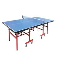 Table Tennis In Red And Blue - N201 icon