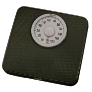 Tanita Bathroom Weight Scale Analog icon