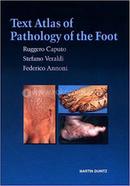 Text Atlas of Pathology of the Foot image