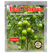 Thai-7 Guava Seeds-20Pcs image