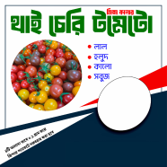 Thai Cherry Tomato Seeds Multicolor 4 Packet image