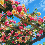 Thai Climbing Perennial Rose Tree Flower Seeds - 31 Pcs Plus image