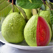 Thai Guava Seeds - 10 Pcs image