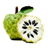 Thai Hybrid Giant Sugar Apple Seeds Re-Pack - 5pcs image