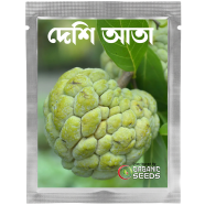 Thai Hybrid Giant Sugar Apple Seeds Re-Pack - 5pcs image