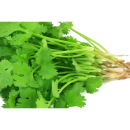 Thai Parsley Coriander Bonsai Seeds 50 Pcs image