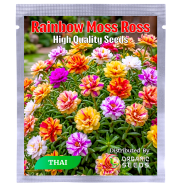 Thai Rainbow Moss Ross Portilaca Seeds - 52 Plus image