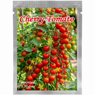 All Season Thai Sweet Red Cherry Tomato Seeds 30 Pcs image