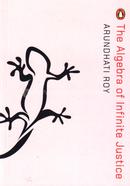 The Algebra of Infinite Justice (Award-Winning Authors' Books) image