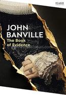 The Book of Evidence image
