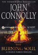 The Burning Soul image