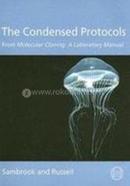 The Condensed Protocols: From Molecular Cloning: A Laboratory Manual image