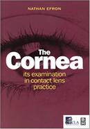 The Cornea image