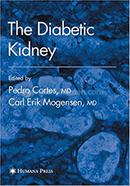 The Diabetic Kidney image