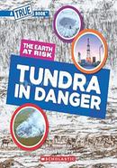 The Earth at Risk: Tundra in Danger image