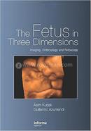 The Fetus in Three Dimensions image