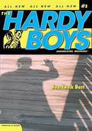 The Hardy Boys 3 image