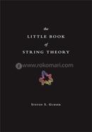 The Little Book of String Theory image