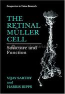 The Retinal Muller Cell image