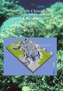 The South China Sea: Paleoceanography and Sedimentology: 13 (Developments in Paleoenvironmental Research) image
