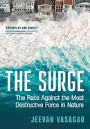 The Surge image