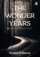 The Wonder Years image