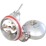 Thermocouple RTD PT100 (3 wire) Head type Dia6mm Length 50 to 300mm Thermocouple With 1/2 BSP Natt icon