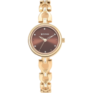 Titan Lagan Brown Dial Metal Strap Watch - 2601WM04 image