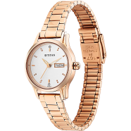 Titan Lagan Silver Dial Metal Strap Watch - 2656WM01 image