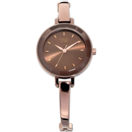 Titan Raga Brown Dial Metal Strap Womens Watches image