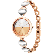 Titan Raga Delight Silver Dial Metals Strap Watch - 2606KM01 image