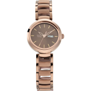 Titan Raga Viva Brown Dial Metal Strap Watch - 2620QM01 image