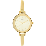 Titan Raga Viva Champange Dial Analog Watch for Women - 2575YM01 image