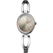 Titan Raga Viva Rose Gold Dial Analog Watch For Women image