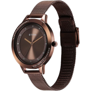 Titan Razzle Dazzle Quartz Analog Brown Dial Stainless Steel Mesh Strap Watch For Women - 2764QM01 image