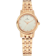 Titan Silver Dial Stainless Steel Watch - 2593WM01 image