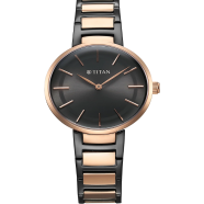 Titan Workwear Quartz Analog Anthracite Dial Stainless Steel Strap Watch for Women - 95183KM02 image
