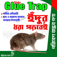 Top Selling Strong Mouse Sticky Board Rat Glue Snare Trap Mice Catcher Safe Rat Bait - 1Pcs icon