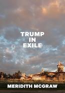 Trump in Exile image