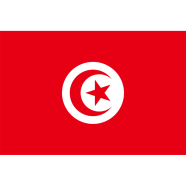 Tunisia Flag FIFA World Cup 2026 Printed Polyester Fabric image