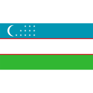 Uzbekistan Flag FIFA World Cup 2026 Printed Polyester Fabric image