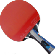 Varesi Table Tennis Bat 4 Star 1 Pcs icon