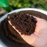 Vermi Compost Fertilizer 5kg Bag image