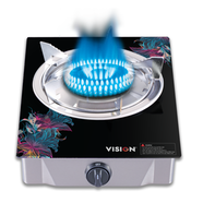 Vision LPG Single Glass GSTV Fancy image