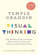 Visual Thinking image