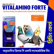 Vitalamino Forte Vet Breeding Course - 100ml image