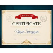 WHITE GOLD HI THICKNESS CERTIFICATE PAPER- 10 SHEETS